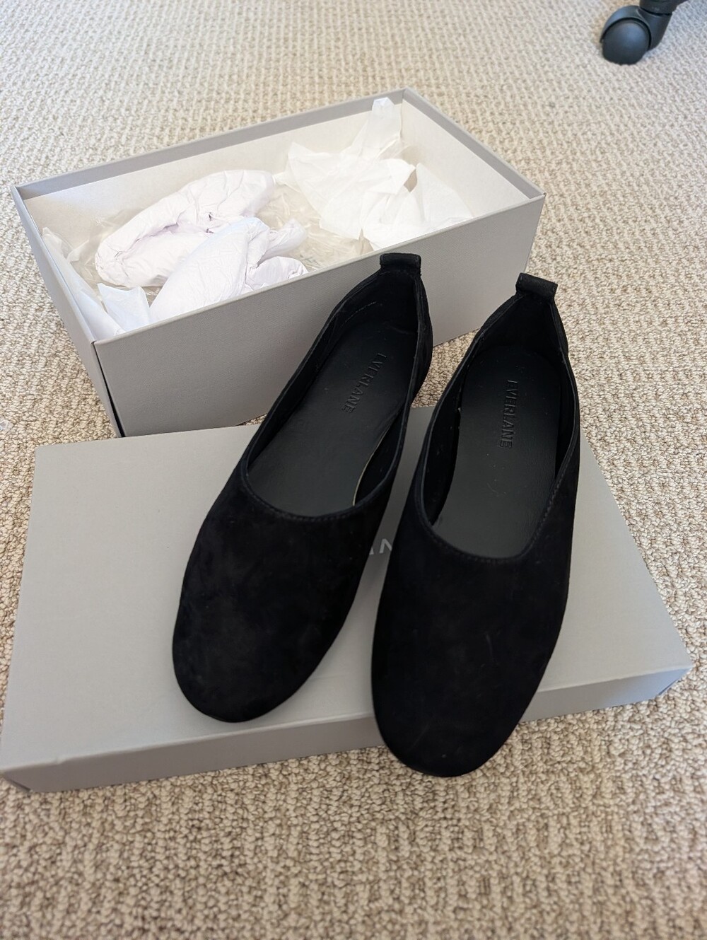 NWT Everlane Glove Flat, Suede, Black, 5.5